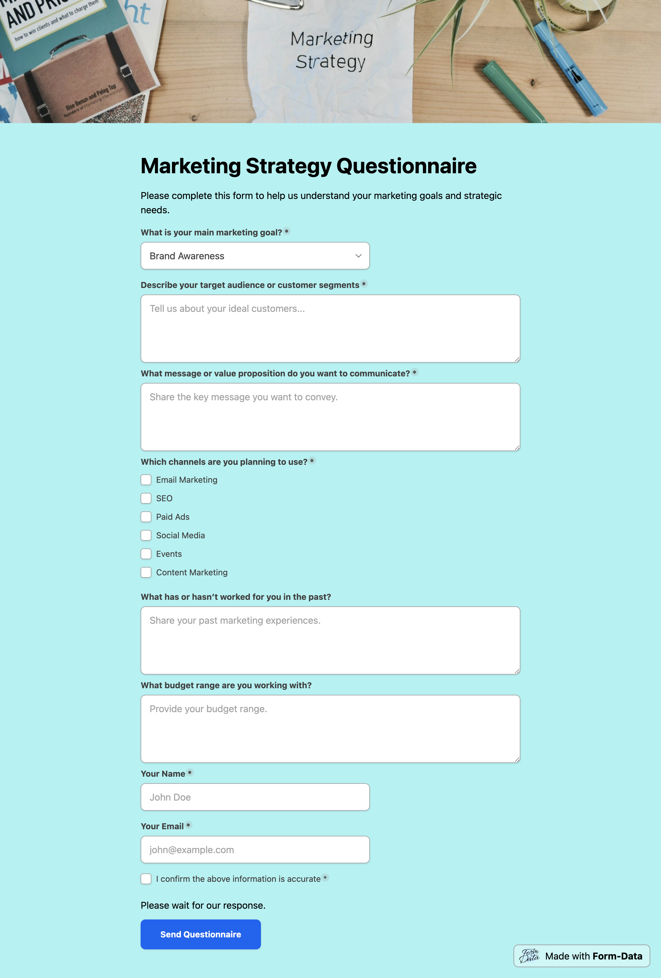 Screenshot of marketing strategy questionnaire form