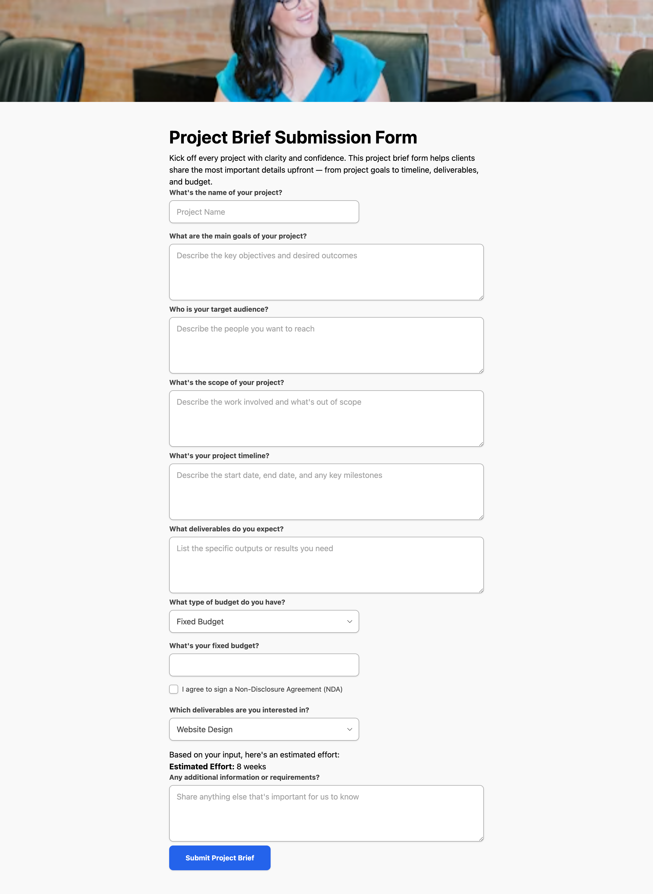 Screenshot of project brief submission form